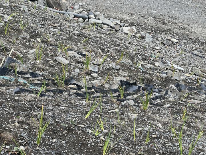 2024 08 20 12.08 (1)