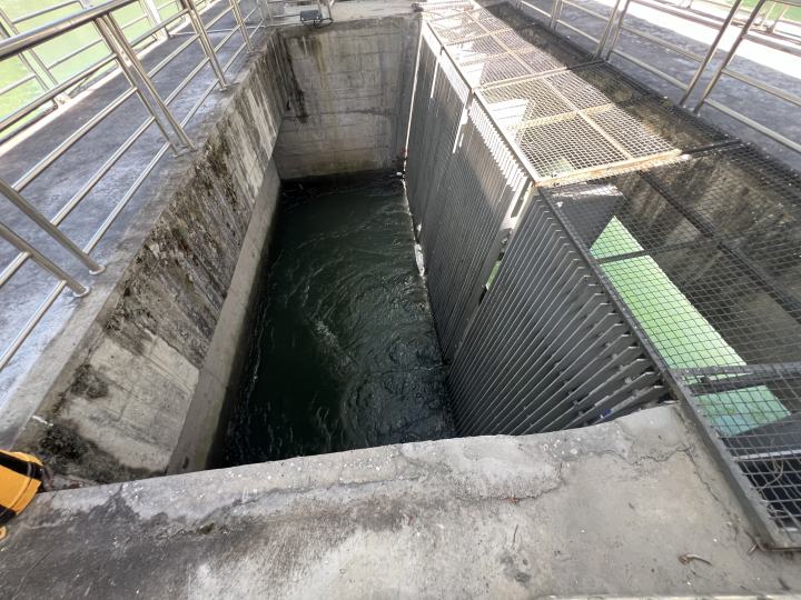 2024 08 21 12.02 (2)