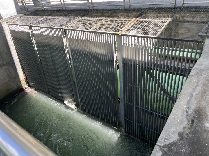 2024 08 21 11.45 (2)